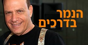 הנמר בדרכים