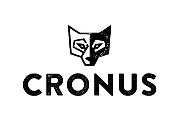 האקר וירטואלי. Cronus