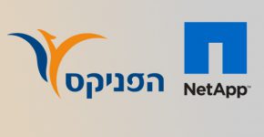 נט-אפ והפניקס