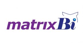 MatrixBI