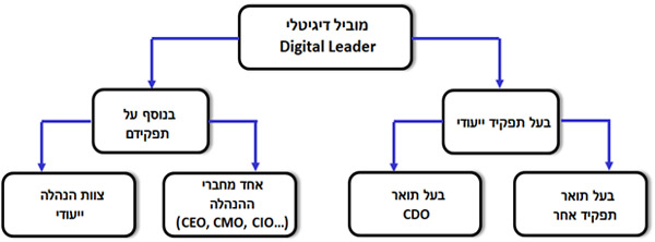 צורות מימוש שונות של תפקיד המוביל הדיגיטלי