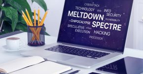 שובן של Spectre ו-Meltdown. צילום: אלכסיי בולדין, BigStock