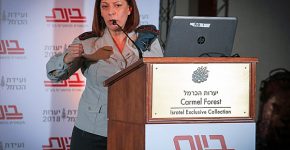 אל"מ טליה גזית, מפקדת ממר"ם. צילום: יש אווירה