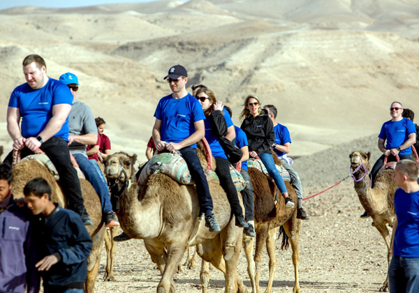 טיול גמלים במדבר יהודה. צילום: ויקטור לוי