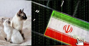 ההאקרים האיראנים החתלתולים הסיאמיים. עיבוד אילוסטרציה, מקור: BigStock