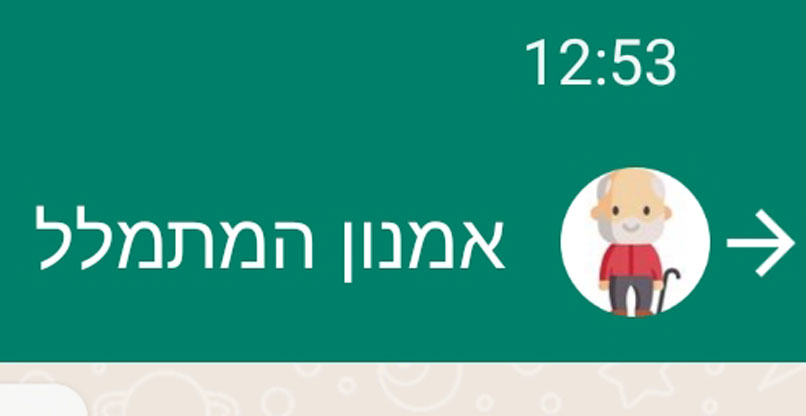 ככה אמנון נראה.