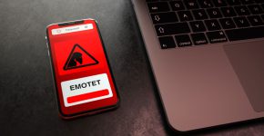 שבה לחיים. Emotet.